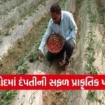 Dahod Natural Farming Success Story 1
