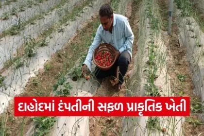 Dahod Natural Farming Success Story 1