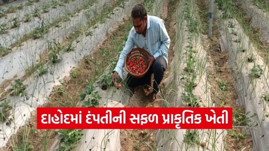 Dahod Natural Farming Success Story 1