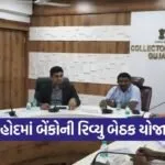 Dahod District Bank Review Meeting 2025 1