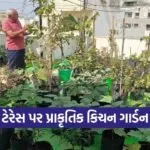 Terrace Kitchen Gardening Natural Farming India
