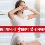 Bhramari Pranayama 1302