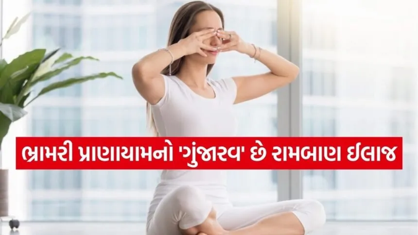 Bhramari Pranayama 1302