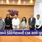 Gujarat Zimbabwe MSME Collaboration Meeting 2026 1