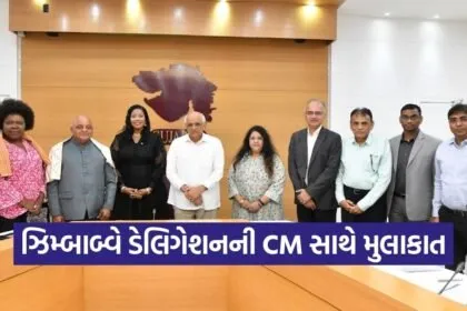Gujarat Zimbabwe MSME Collaboration Meeting 2026 1