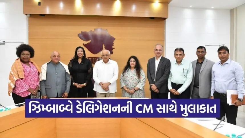 Gujarat Zimbabwe MSME Collaboration Meeting 2026 1