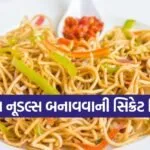Hakka Noodles