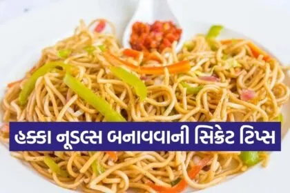 Hakka Noodles