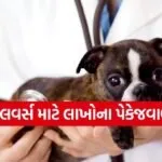 Dog related career courses