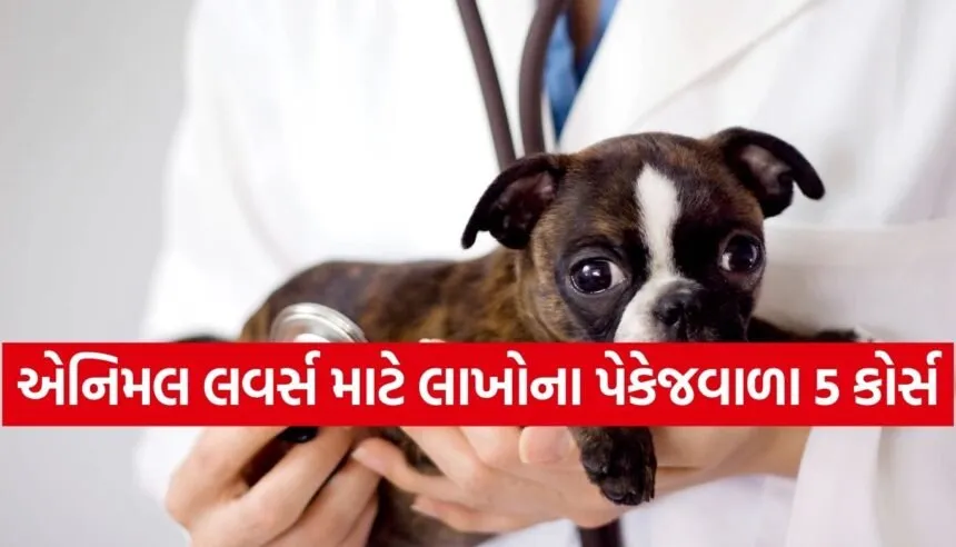 Dog related career courses