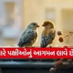 Good luck signs in Vastu