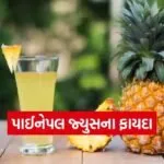 Pineapple Juice 1502