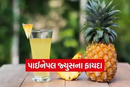 Pineapple Juice 1502