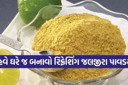 Jaljeera Powder