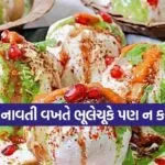 Dahi Vada