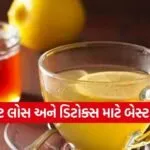 WhatsApp Image 2026 02 15 at 7.01.00 PM
