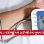 Highbp 1702