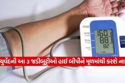 Highbp 1702