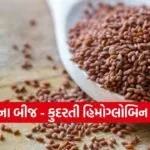 Haleem seeds 1702