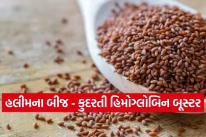 Haleem seeds 1702