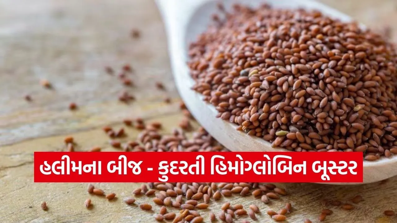 Haleem seeds 1702.jpg