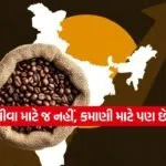 INDIA 1 2026 02 17T095551.841