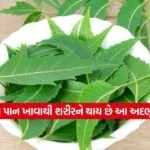 dharmishtha 1 2026 02 17T172406.313