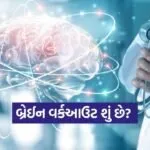 brain 1702