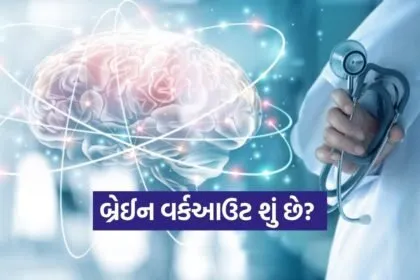 brain 1702