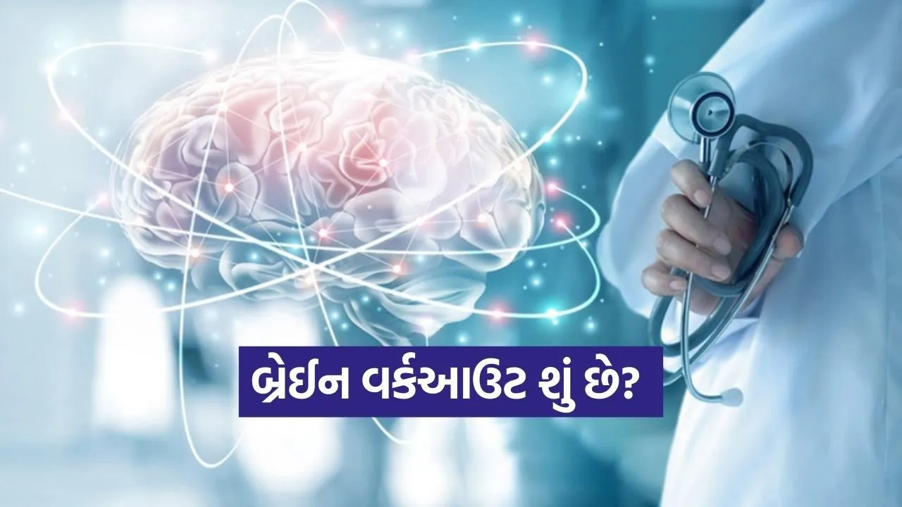 brain 1702.jpg