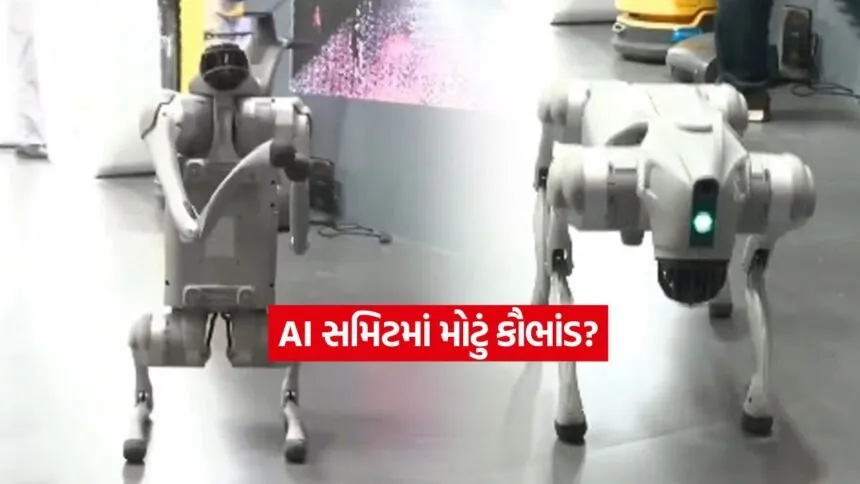 INDIA 1 2026 02 18T130049.061