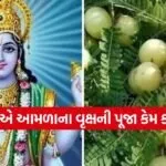 Amla Ekadashi 2026