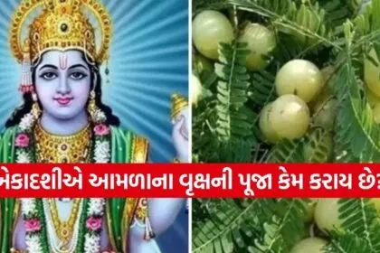 Amla Ekadashi 2026
