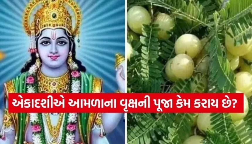 Amla Ekadashi 2026