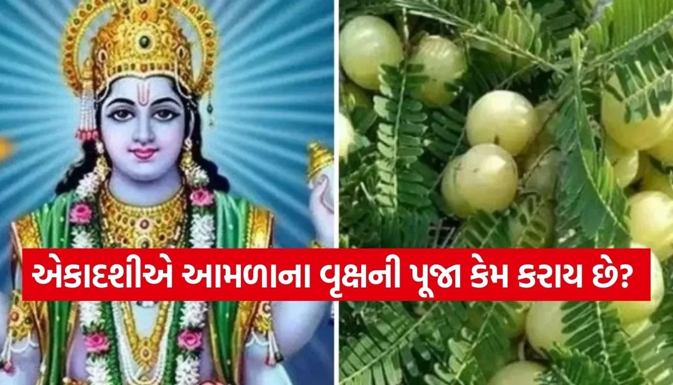 Amla Ekadashi 2026
