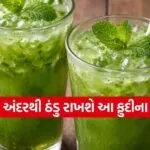 Mint Sharbat recipe