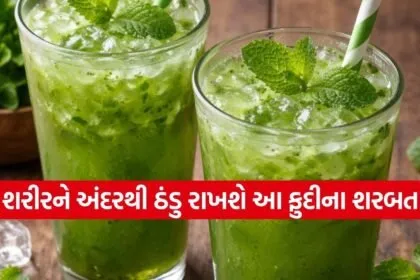 Mint Sharbat recipe