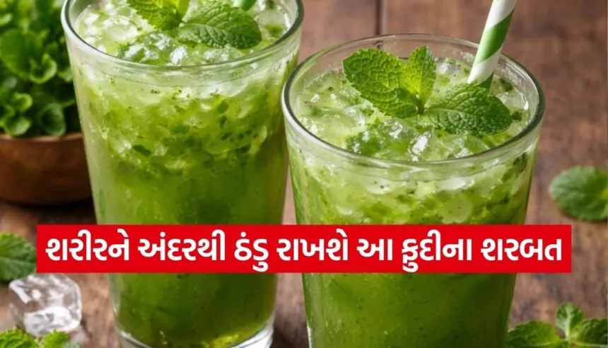 Mint Sharbat recipe