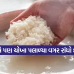 rice 1802
