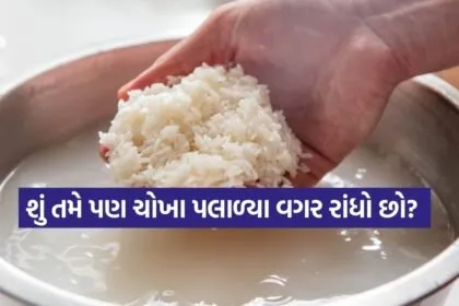 rice 1802
