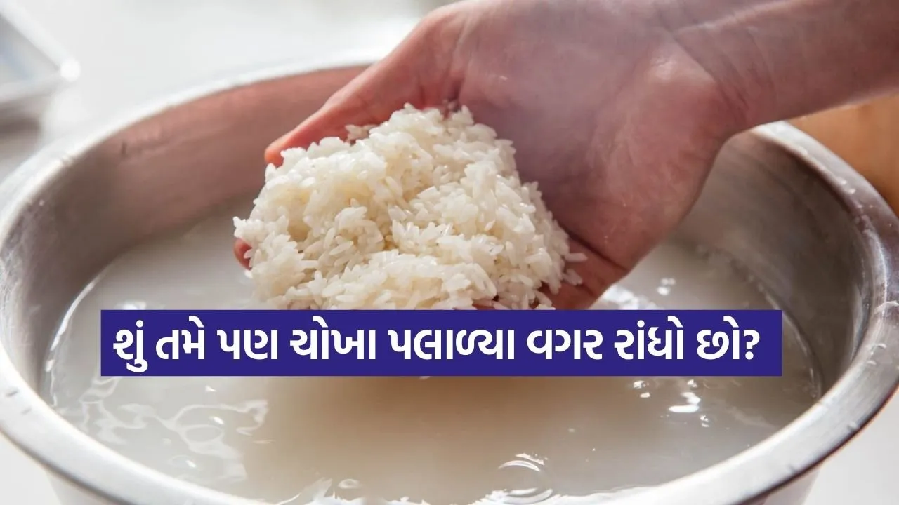 rice 1802.jpg