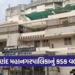 Anand Municipal Hospital Inspection Action 1