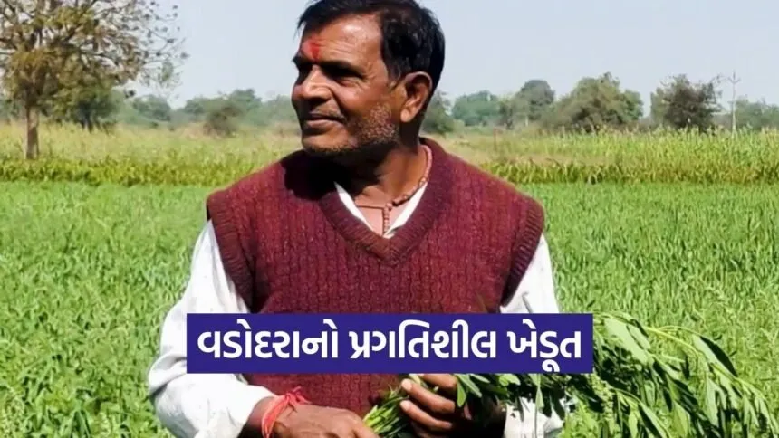 Vadodara Integrated Farming Success Model 1