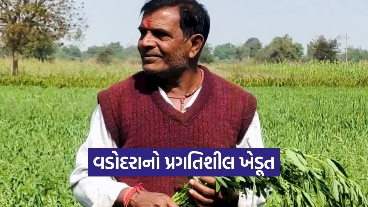 Vadodara Integrated Farming Success Model 1.jpg