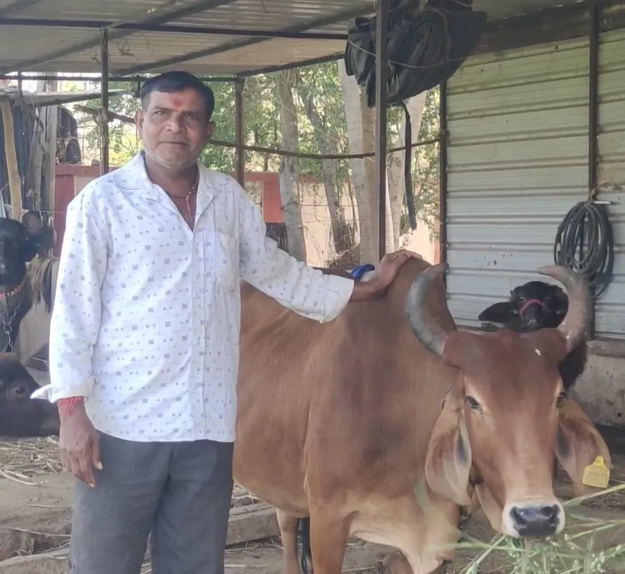 વડોદરા જિલ્લાના પ્રગતિશીલ ખેડૂત લક્ષ્મણભાઈ જાદવે ત્રિમુખી ખેતીથી બમણી નહીં પરંતુ ત્રણ ઘણી આવક મેળવી 3 Vadodara Integrated Farming Success Model 2.png