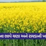 botad pss chana mustard registration 2025 26 1