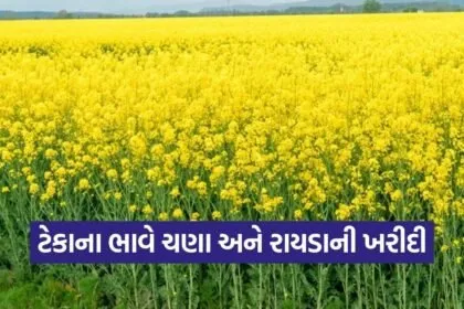 botad pss chana mustard registration 2025 26 1