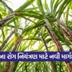 sugarcane integrated disease management guidelines 1