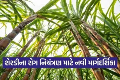 sugarcane integrated disease management guidelines 1