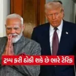 dharmishtha 1 12